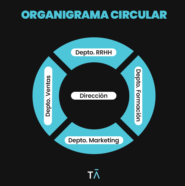 organigrama circular