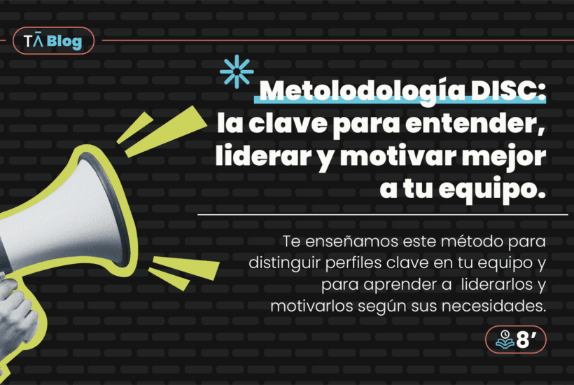 metodologia disc que es